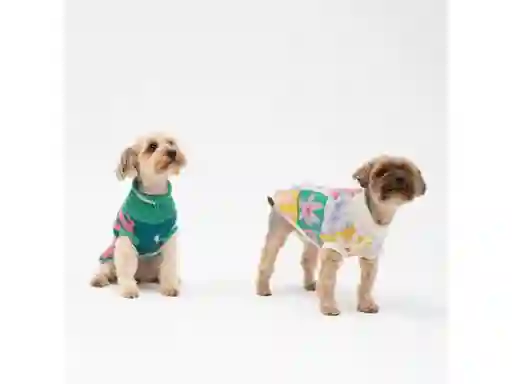 Chaleco Mascota S Casaideas