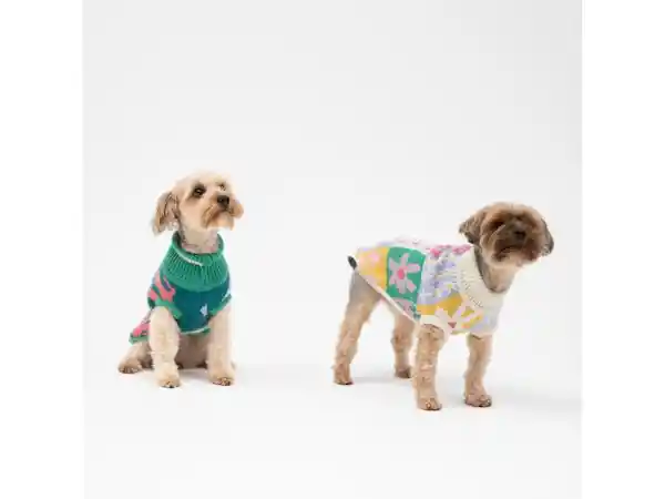 Chaleco Mascota S Casaideas