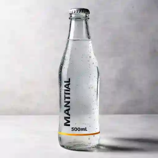 Agua Manantial 500Ml