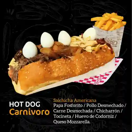 Hot Dog Carnívoro