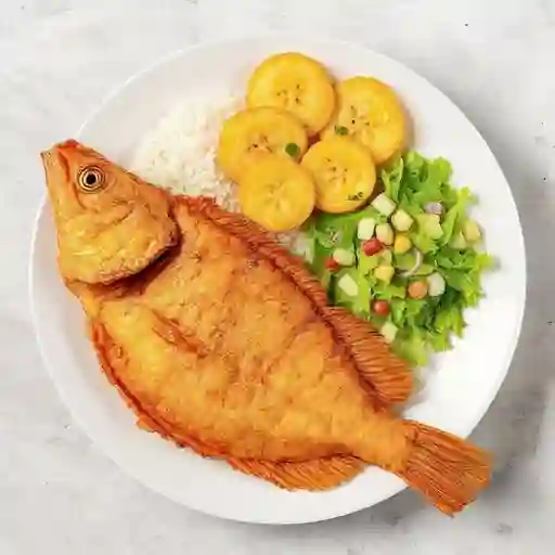 Mojarra Frita