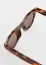 Gafas de Sol Mara Chocolate Talla 99 Mujer Mango