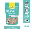 Karavansay Quinua en Semilla Tricolor