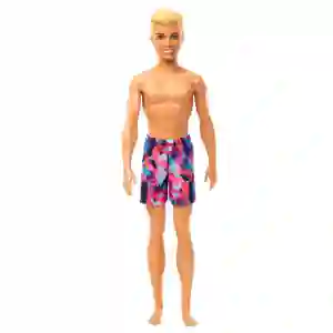 Barbie Muñeca Ken de Playa