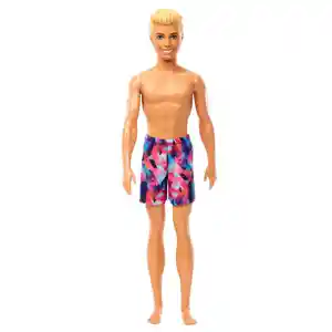 Barbie Muñeca Ken de Playa