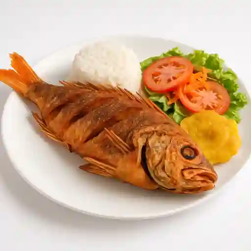 Pargo Rojo Frito