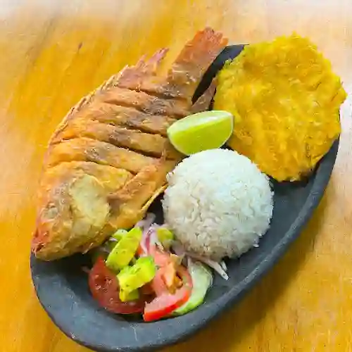 Tilapia Frita
