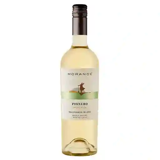 Morande Vino Pionero Sauvignon Blanc Botella