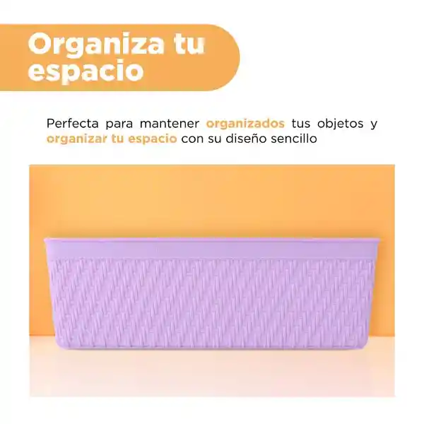 Organizador de Plástico Lila 24 cm Miniso