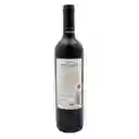 Postales Dfm Vino Postales Malbec Botella