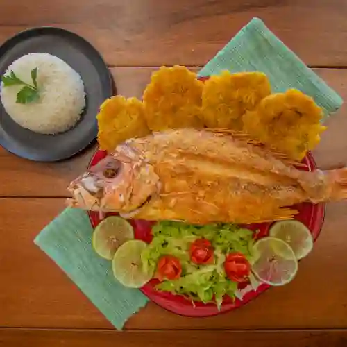 Pargo