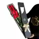 Crown Flowers Caja Little Dream 8 Rosas