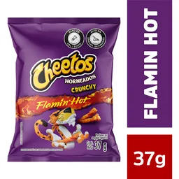 Doritos Snack Flamin Hot