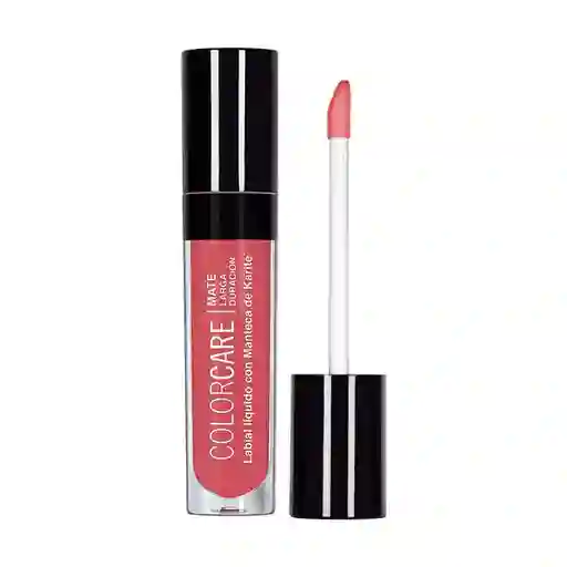 Labial Liquido Ld Flamingo Ana Maria 4.5 Gr