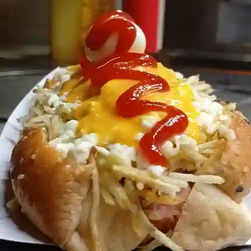 Perro Sencillo