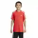 Adidas Camiseta u Tr-Es 3S T Niño Rojo M