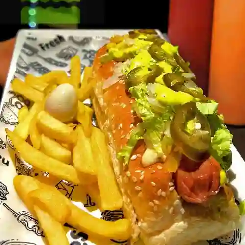 Perro mexicano