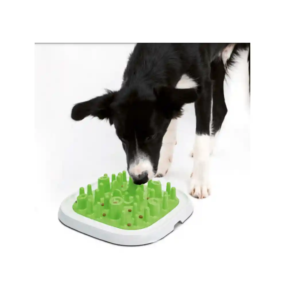 Savic Comedor Enigma Control de Peso Verde