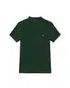 Camiseta Básica Verde Cordillera Ultraoscuro M Chevignon