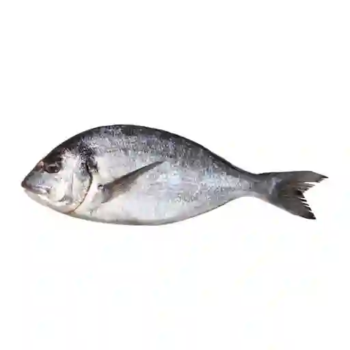 Pescado Dorado