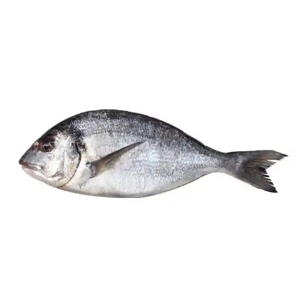 Pescado Dorado