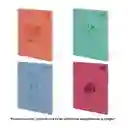 Scribe Cuaderno Tapa Dura Grande Cuadriculado Cosido 80 Hojas