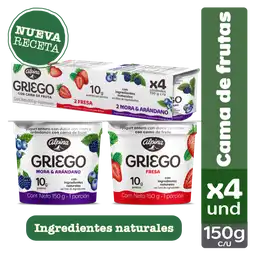 Alpina Yogurt Griego Multisabor Cama de Frutas Surtidos