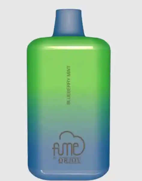 Fume Vaporizador Blueberry Mint 5000 Puffs