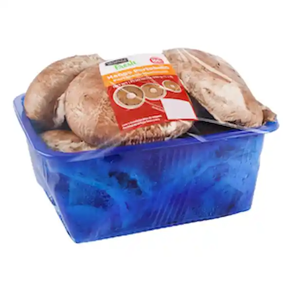 Members Selection Champinon Portobello