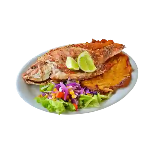 Mojarra Frita
