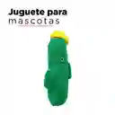 Miniso Peluche Para Mascota Cactus