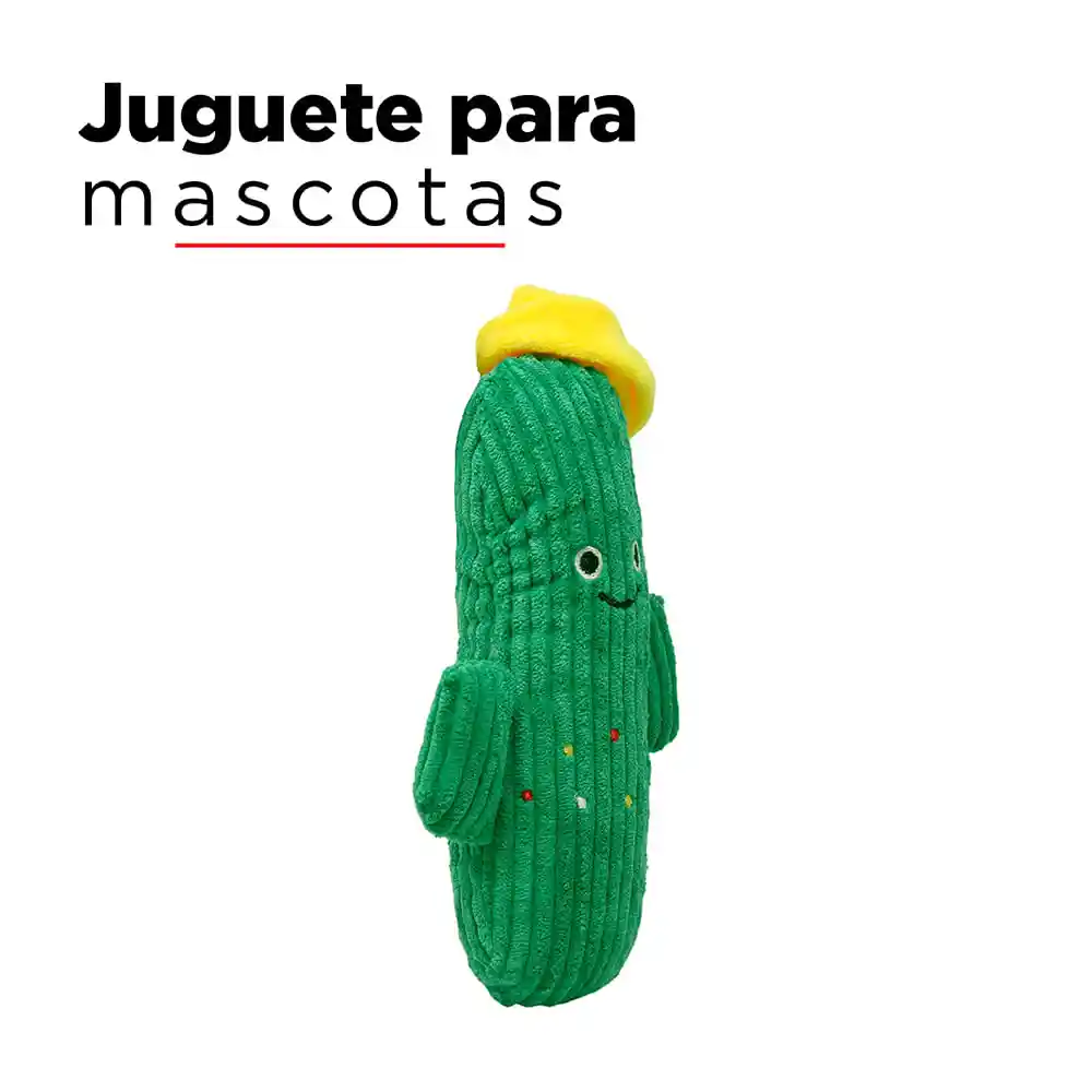 Miniso Peluche Para Mascota Cactus