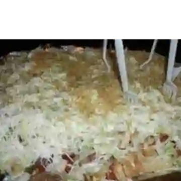 Picada Mixta para 2 Personas