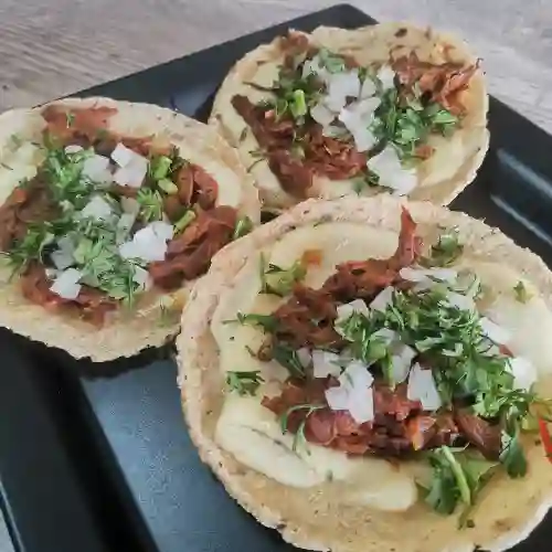 Tacos Desmechados