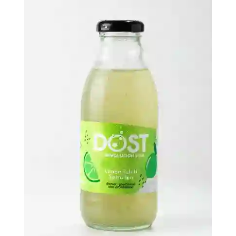 Dost Gaseosa Natural Sin Azucar