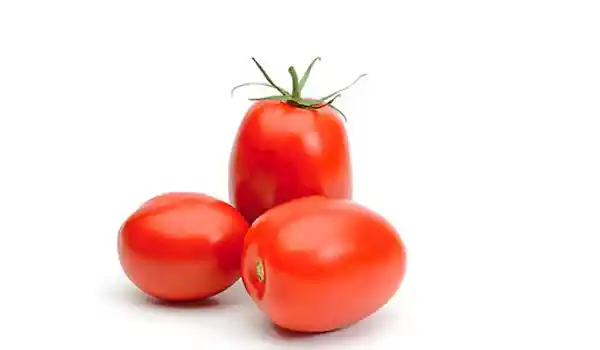 Tomate Roma Pera