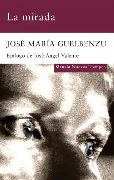 La Mirada - José María Guelbenzu