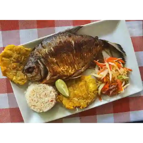 Cachama Entera Frita