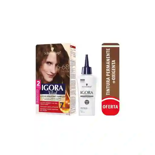 Igora Vital Tinte Capilar 6-68 Chocolate + Oxigenta 