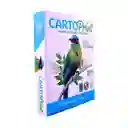 Cartoprint Resma Carta 75 g