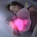 Dormilón Peluche Electronico