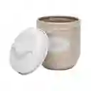 Contenedor Ajo Diseño 0001 Casaideas