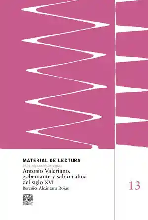 Antonio Valerio Gobernante y Sabio Nahua Del Siglo Xvi / Vol. 13