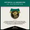 Comida para Gatitos Purina Pro Plan x 1,5 kg