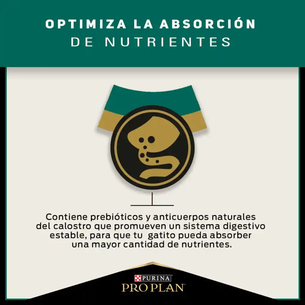Comida para Gatitos Purina Pro Plan x 1,5 kg