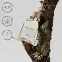 Adolfo Dominguez Agua Fresca Masculino