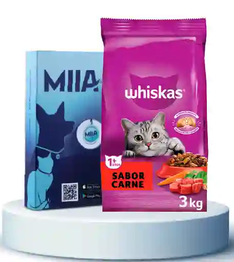 Combo Miia + Whiskas Alimento Para Gato Adulto Carne 1.5 Kg