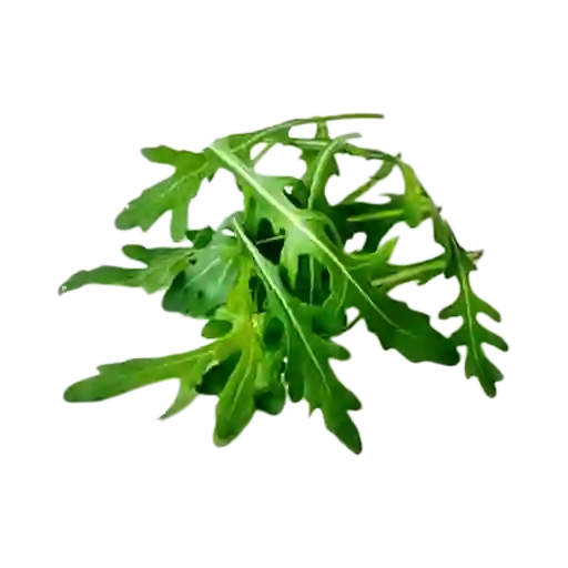 Rugula
