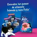 Comida para Gatitos Purina Felix Megamix x 1,5kg