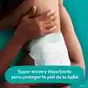 Pampers Pañales Desechables Talla 4